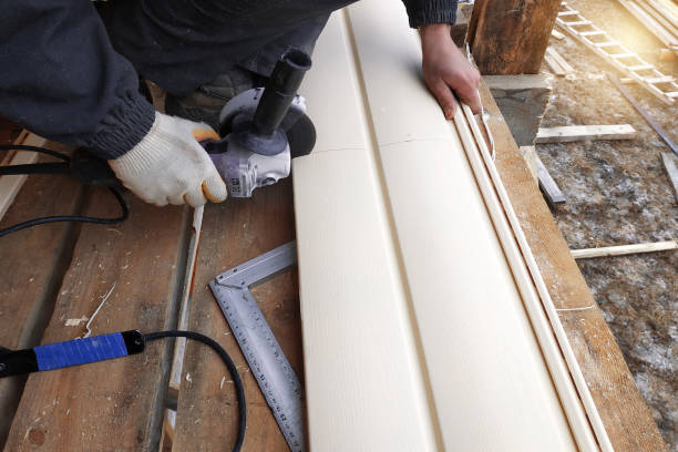 Best Aluminum Siding Installation  in Amargosa Valley, NV