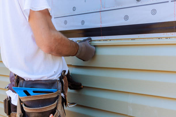 Best Vinyl Siding Installation  in Amargosa Valley, NV